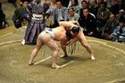 【大相撲5月場所】　白鵬VS.日馬富士 優勝決定戦の攻防　