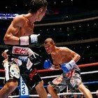 内藤大助、亀田興毅