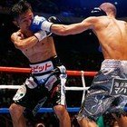 内藤大助、亀田興毅