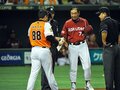 パ・リーグファンに聞く！ 交流戦の試合数、このままで良い？