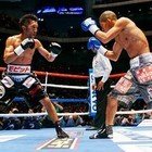 内藤大助、亀田興毅