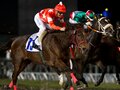 ドバイWC前哨戦に勝利、注目のレッドディザイア。~ウオッカに代わる新女王へ~