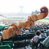 イカゲソ焼