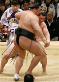 白鵬、日馬、把瑠ら全勝　魁皇、琴喜は２敗目