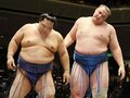 新大関・把瑠都と山本山。同門人気力士の厳しい夏。