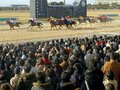 深刻な売り上げ減でも、貫くべき「優勝劣敗」の掟。~JRA「東西格差」是正案への疑問~