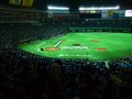 プロ野球の観客数減少、最大の要因は“投高打低”である!?
