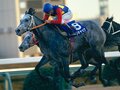 競馬全盛期の立役者、オグリキャップ逝く。