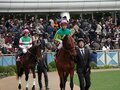 戸崎圭太、移籍後初の重賞Vなるか!?騎手勢力図で占う混戦オークス。