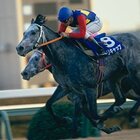 1990年12月23日　第35回有馬記念