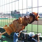 [第91回全国高校野球] 夏の甲子園グルメ　ベストセレクション10