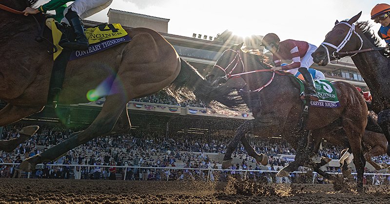 img_0c3c956ceecd4a77d91d6764f1