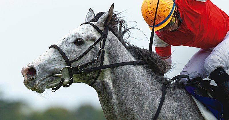 0コンマ何秒で判断した」内田博幸が明かす“ワープ”の内幕とゴールド