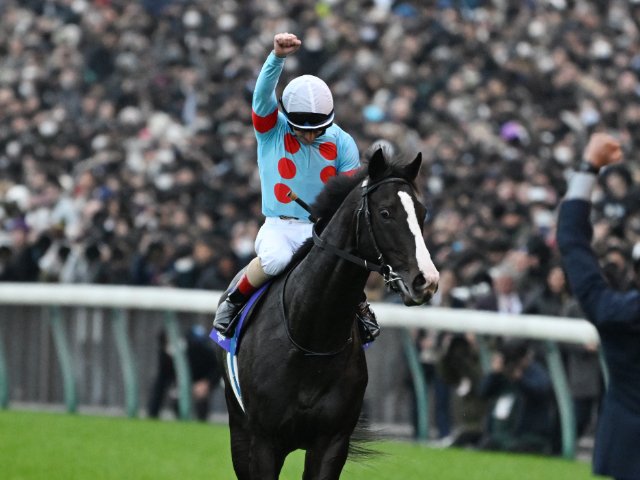 img_250ca200c38b2c247a881b64bc