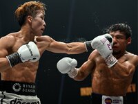 img_2c8d52c06fa0f33f2a262126c6