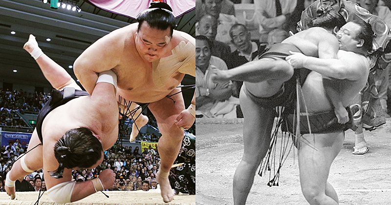 img_2f1592c11bede48691d71d3f84