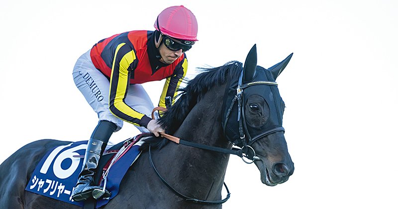 ディープ産駒最後のダービー馬》シャフリヤールが繋ぐ“血”の熱量と精神