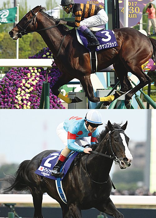 （上）三代目　キタサンブラック　Kitasan Black　'17年の天皇賞・春をレコードで制するなどGI7勝／（下）四代目　イクイノックス　Equinox　'23年ジャパンカップなど複数のGIでキタサンブラックと父子制覇