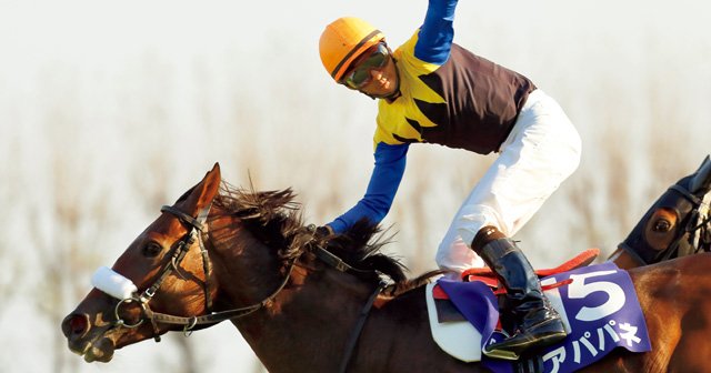 ⑥◆　競馬　JRA　◆アパパネ◆　牝馬三冠達成　記念シャツ　◆　三冠馬　◆ 新調教師は語る］アパパネ＆蛯名正義「三冠への三つの変化