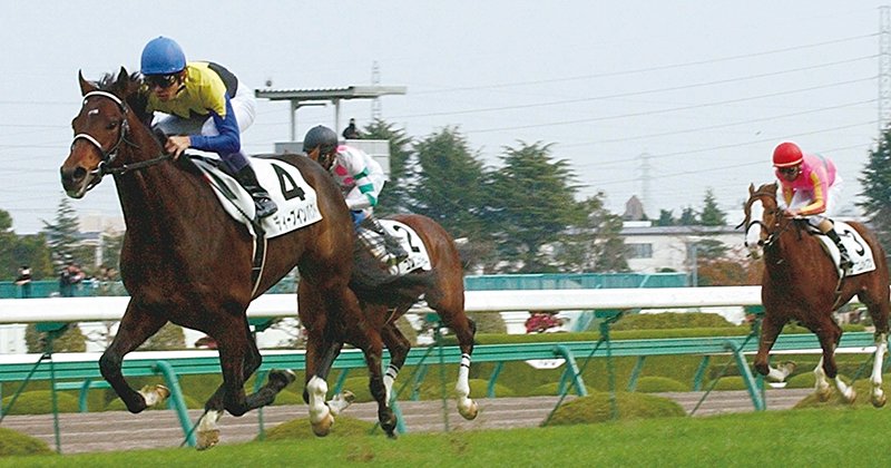 【期限切れ単勝馬券】　新馬競走 2004 ディープインパクト 期限切れ単勝馬券】 新馬競走 2004 ディープインパクト 【公式通販】
