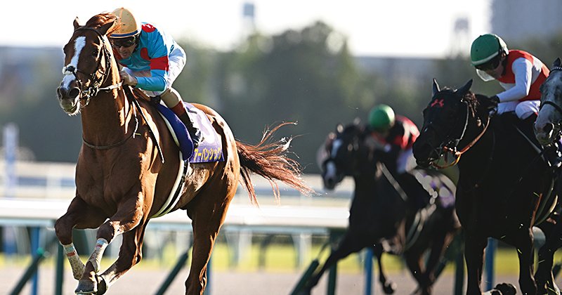 菊花賞の明暗】アーバンシック2馬身半差の快勝…名手ルメールは「馬を