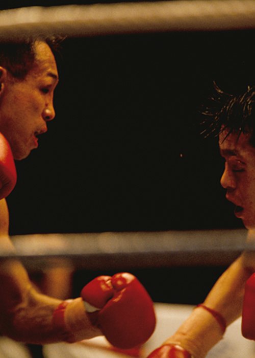 1994.12.4名古屋市総合体育館レインボーホール　WBC世界バンタム級王座統一戦　薬師寺保栄○ - ×辰吉𠀋一郎（12R 2判定0）　薬師寺の優勢で試合は進むも、終盤に辰吉が捨て身の猛攻。それでも薬師寺は倒れず、最後までリードを守り抜いて勝利