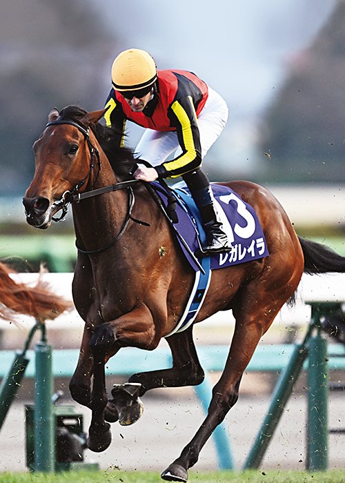 レガレイラ　Regaleira　［父］スワーヴリチャード［母］ロカ［調教師］木村哲也［通算成績］4戦2勝［主な勝鞍］'23ホープフルS（GI）