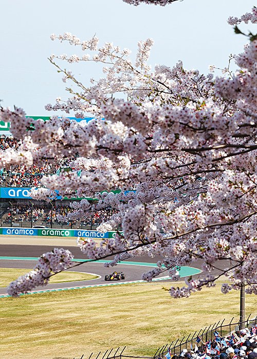 4月7日に開催されたF1の日本GPを、今年は満開の桜が迎えた