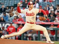 img_92a8b7c3d07aa0aae3771fb3f6