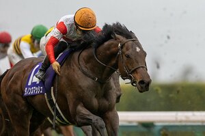 ダノンスマッシュの高松宮記念制覇で 安田師「ロードカナロアは素晴らしい馬」 1番人気レシステンシアの敗因は？