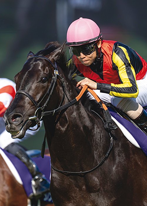 クロワデュノール　Croix du Nord　2022年生まれ　［父］キタサンブラック　［母］ライジングクロス　［生産］ノーザンファーム　［馬主］サンデーレーシング　［調教師］斉藤崇史（栗東）　［通算成績］9戦6勝　［主な勝鞍］'25日本ダービー（GI）　'26大阪杯（GI）