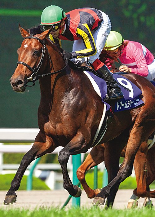 【現地・単勝的中】ドリームジャーニー＆オルフェーヴル　兄弟GⅠ制覇 159】オルフェーヴルと感動の再会…のはずが大事件発生！カメラが