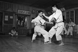 【続きを読む】「寸止めはやめなさい！」顔面打ちアリ＆絞め技も…60年前の早すぎた“幻の総合格闘技”日本拳法空手道とは？