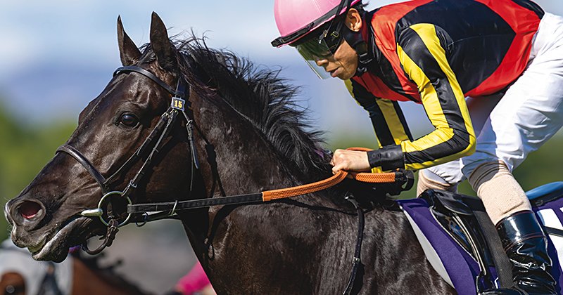 今年の競馬界の主役になってほしい」北村友一と天皇賞に殴り込む“中
