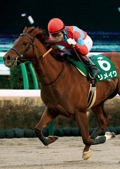 昨年12月に福永とのコンビでGIIIカペラSを制したリメイク。リヤドダートスプリントで重賞連勝を目指す