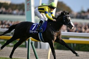 名手ルメール「“あの最強馬”と同じフィーリング」“特殊な天皇賞・秋”を制したマスカレードボールは超逸材なのか？「まだ中高生」手塚調教師の証言