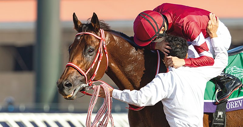 フォーエバーヤングには『お前はすごいんだぞ』と伝えたい」坂井瑠星が