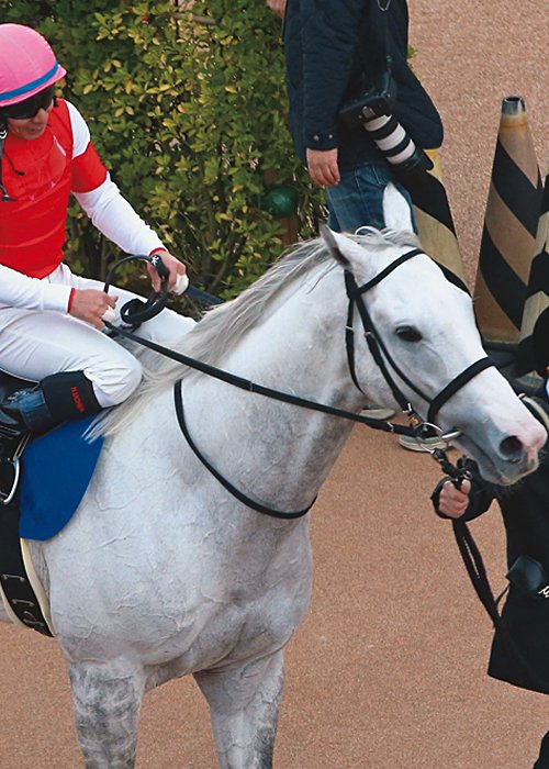 2015年の有馬記念がラストランのゴールドシップには内田博幸が2年ぶりに騎乗