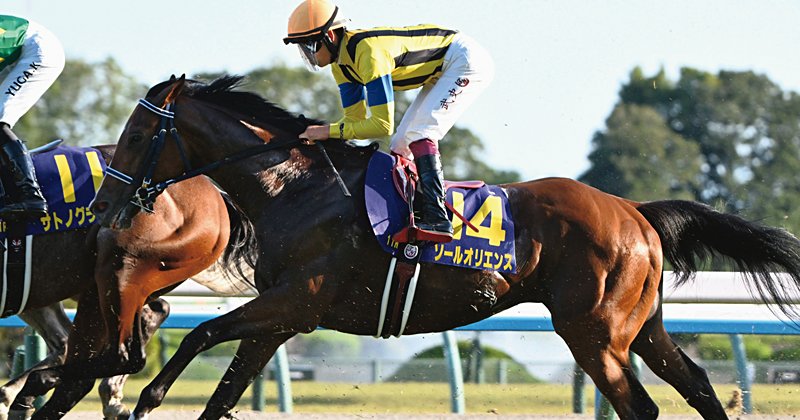 img_e1fd6d9ae17914738c30c78560