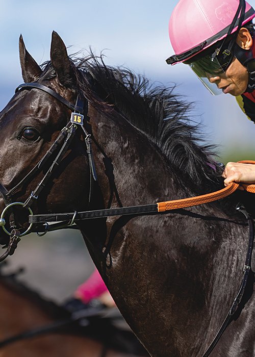 クロワデュノール　Croix du Nord　2022年生まれ　［父］キタサンブラック　［母］ライジングクロス　［生産］ノーザンファーム　［馬主］サンデーレーシング　［調教師］斉藤崇史（栗東）　［通算成績］9戦6勝　［主な勝鞍］'25日本ダービー（GI）　'26大阪杯（GI）