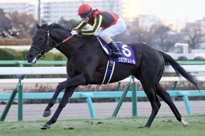 【昨年の予想】クロワデュノールは三冠馬になれるのか？ 2025年“平地GI全24レース”を大胆予想「今年こそ的中ゼロかも…」「フェブラリーSはキング姐さんに期待」