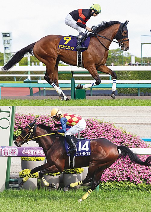 左からテーオーロイヤル、ホウオウビスケッツ